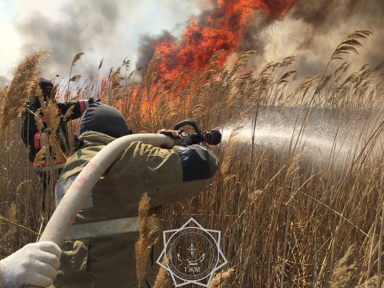 В Атырауской области горит камыш на 280 гектарах в резервате «Акжайык»